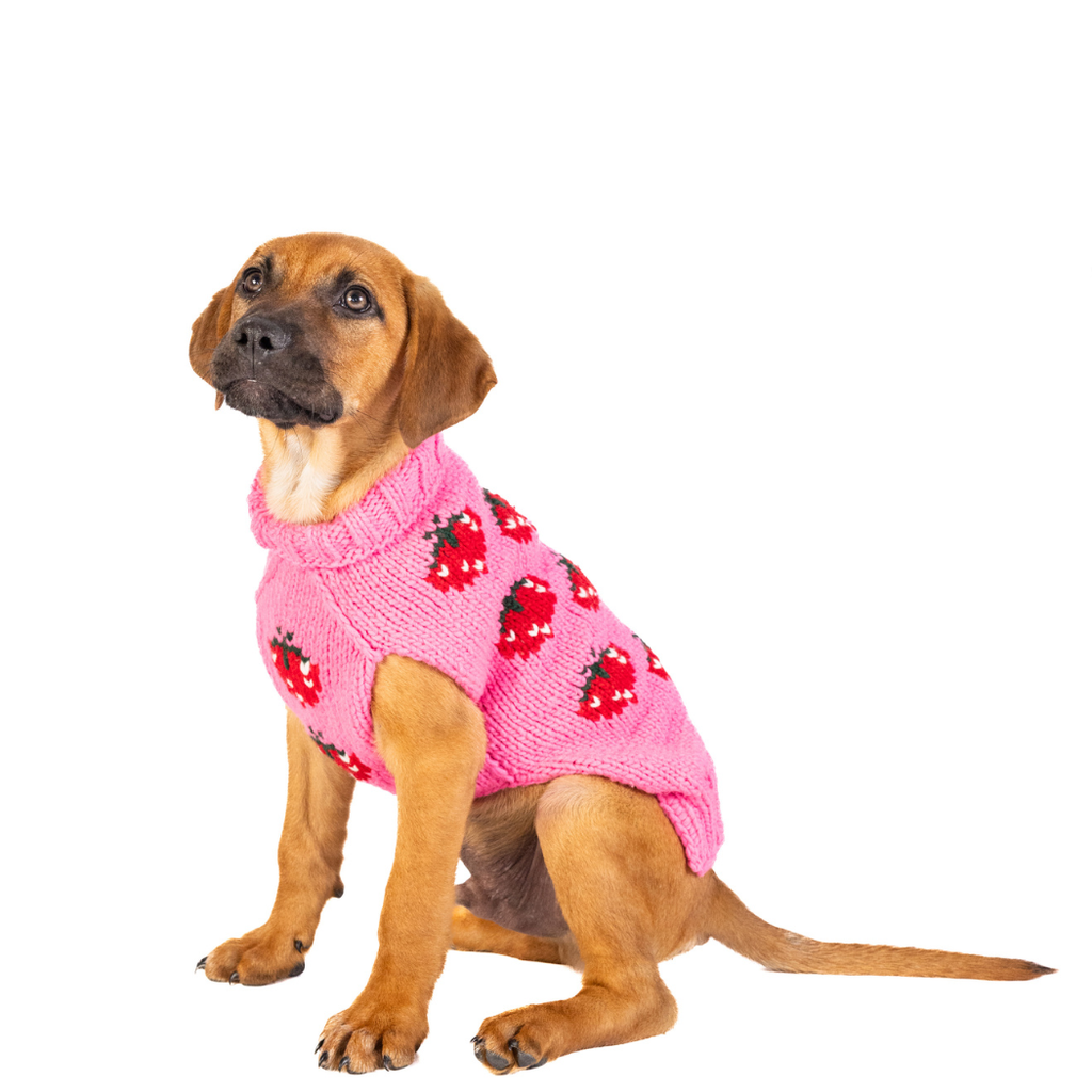 Strawberry Dog Sweater - The Dog Shop