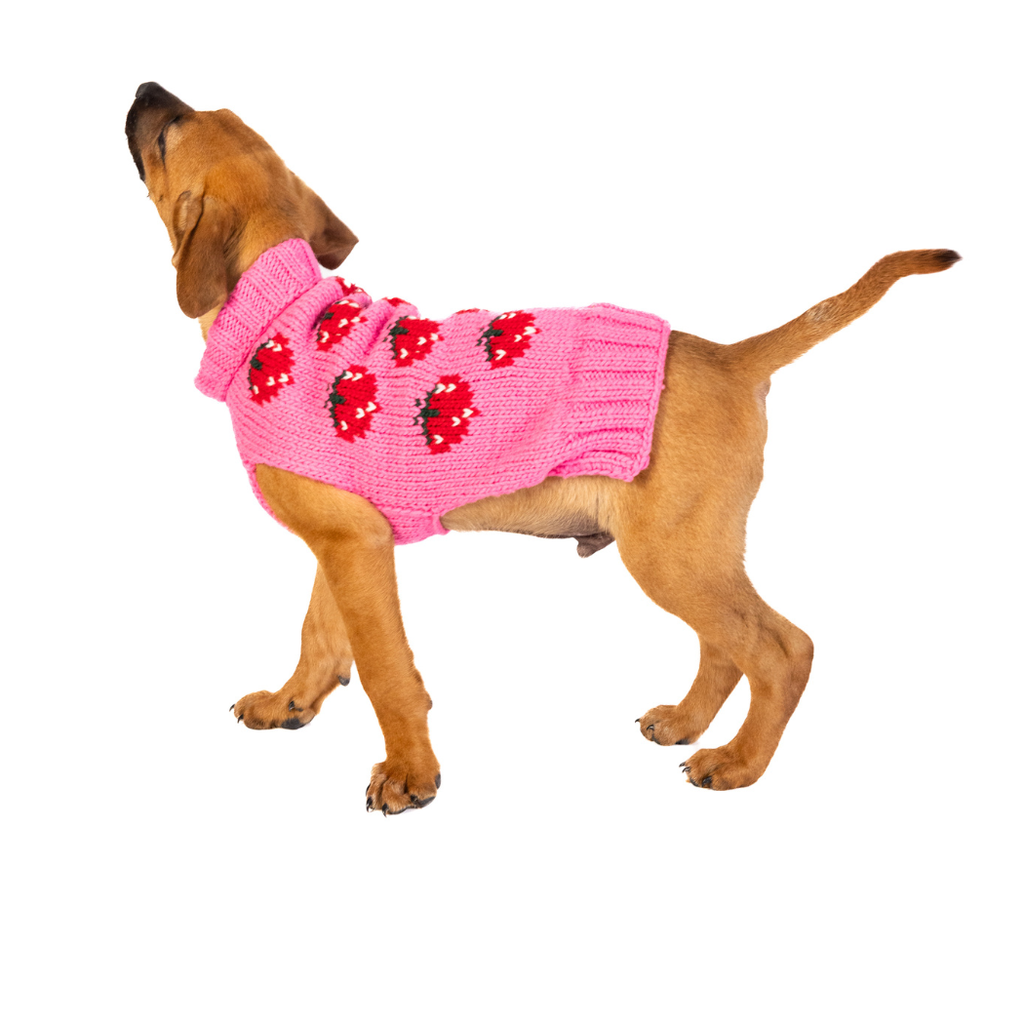 Strawberry Dog Sweater - The Dog Shop