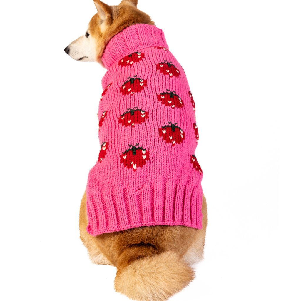 Strawberry Dog Sweater - The Dog Shop