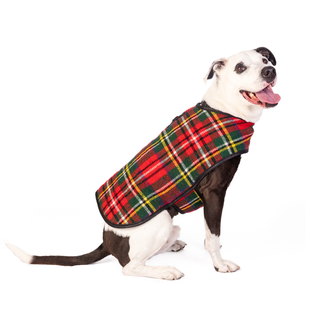 Scotty Plaid Dog Blanket Coat - The Dog Shop