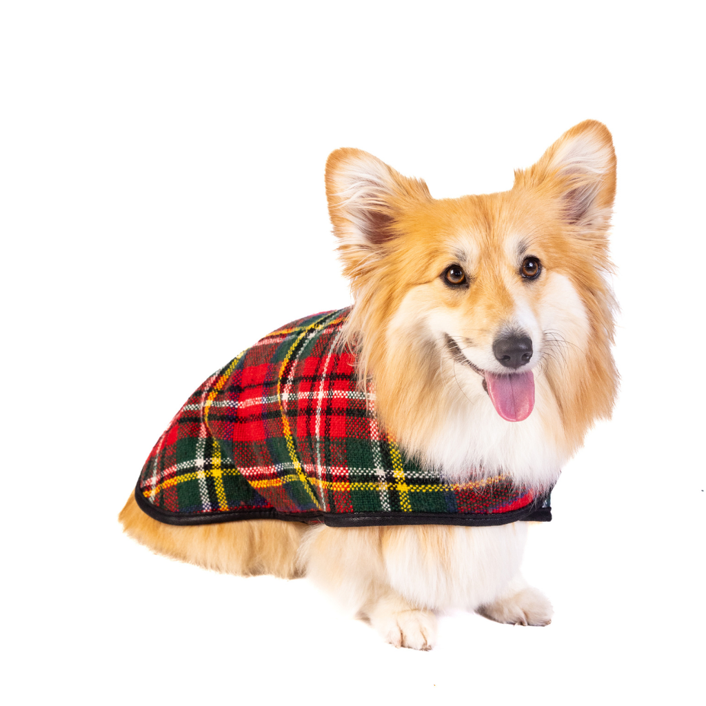 Scotty Plaid Dog Blanket Coat - The Dog Shop