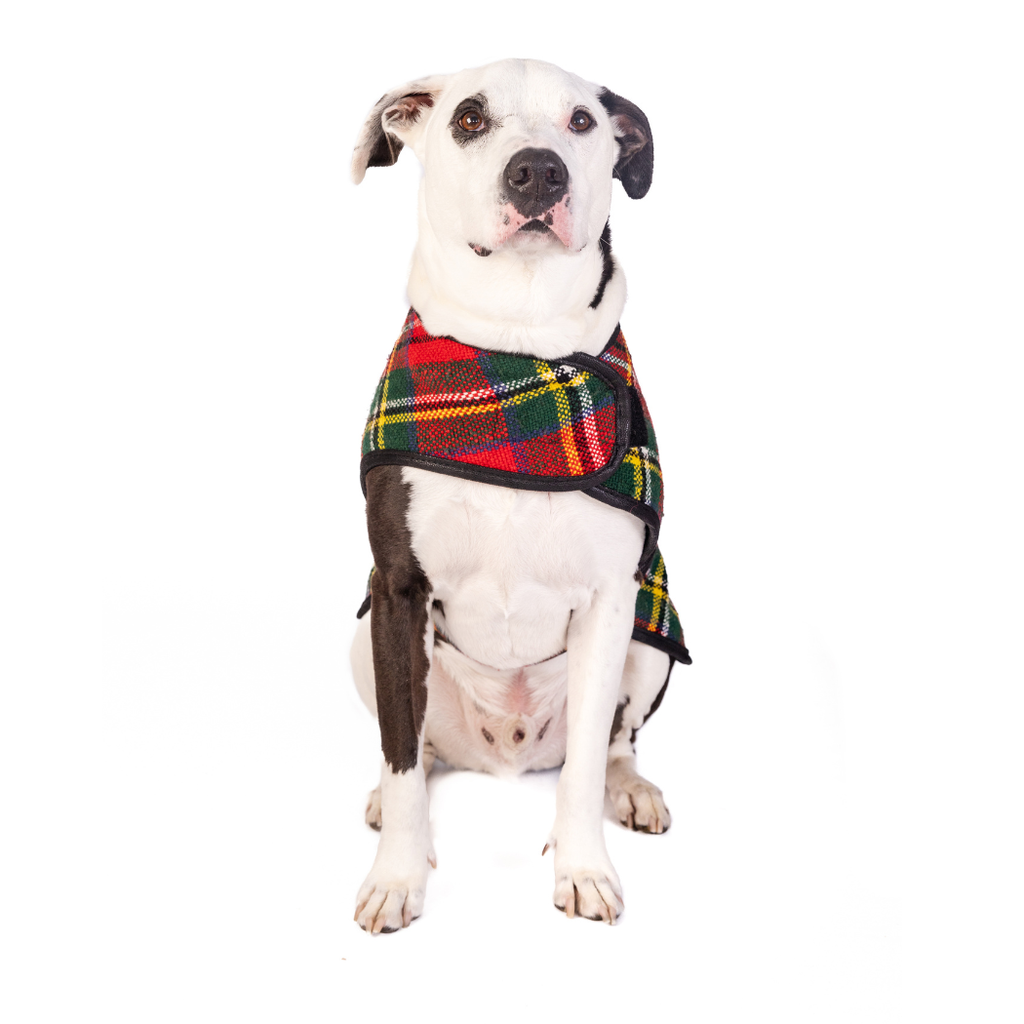 Scotty Plaid Dog Blanket Coat - The Dog Shop