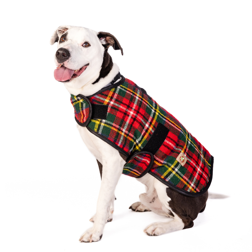 Scotty Plaid Dog Blanket Coat - The Dog Shop