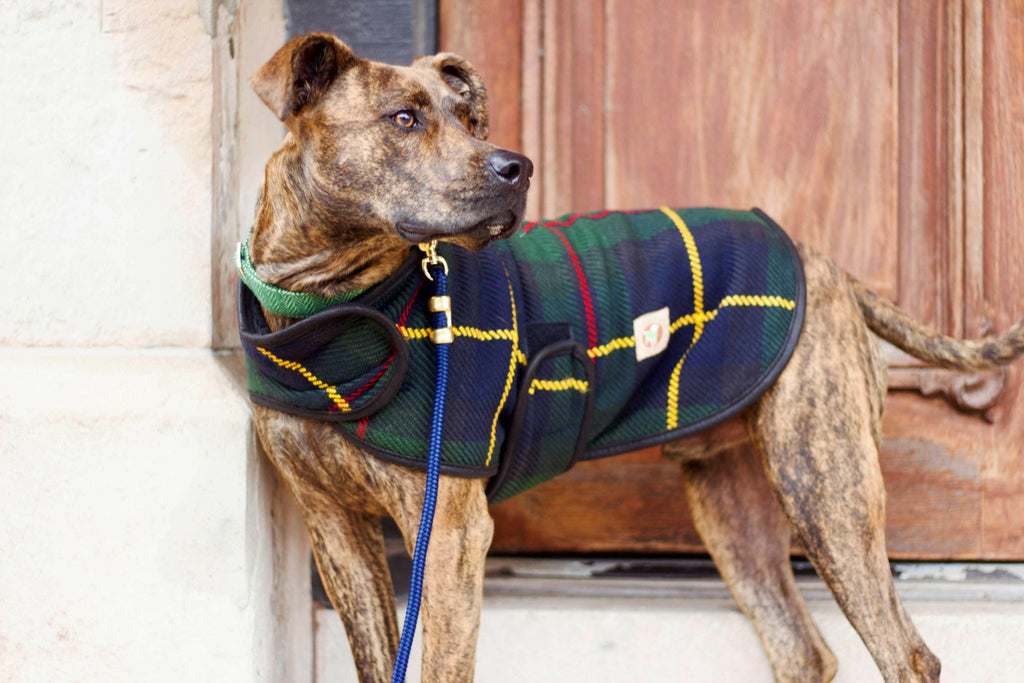 Navy Tartan Dog Blanket Coat - The Dog Shop