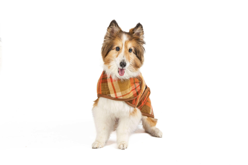 Rust Plaid Dog Blanket Coat - The Dog Shop