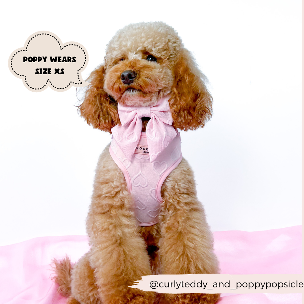 Luxe Sailor Bow - Baby Pink Heart - The Dog Shop