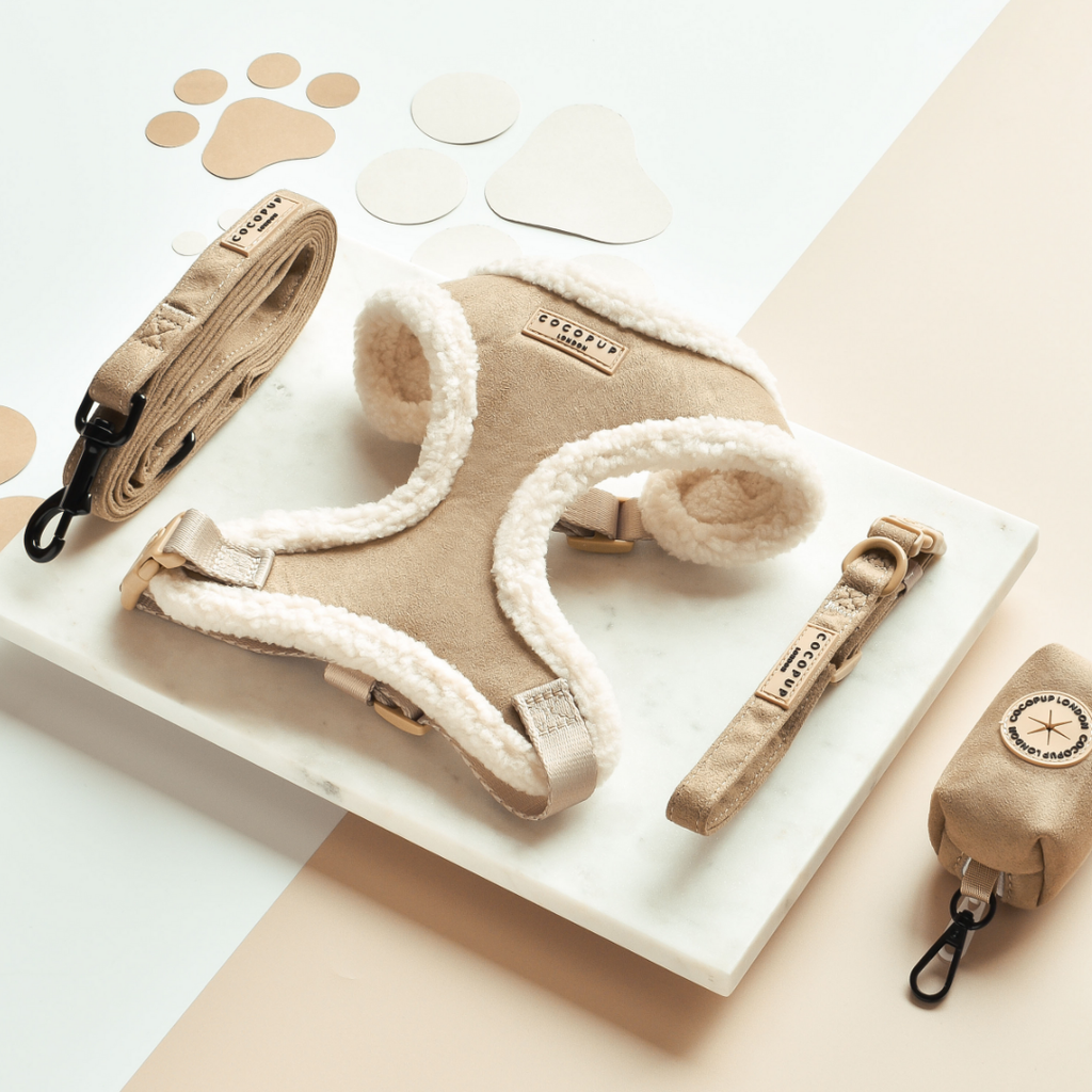 Cocopup Collar - Nude Aviator - The Dog Shop
