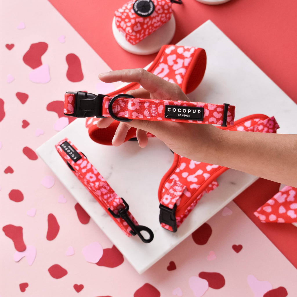 Cocopup Collar - Red & Pink Leopard - The Dog Shop