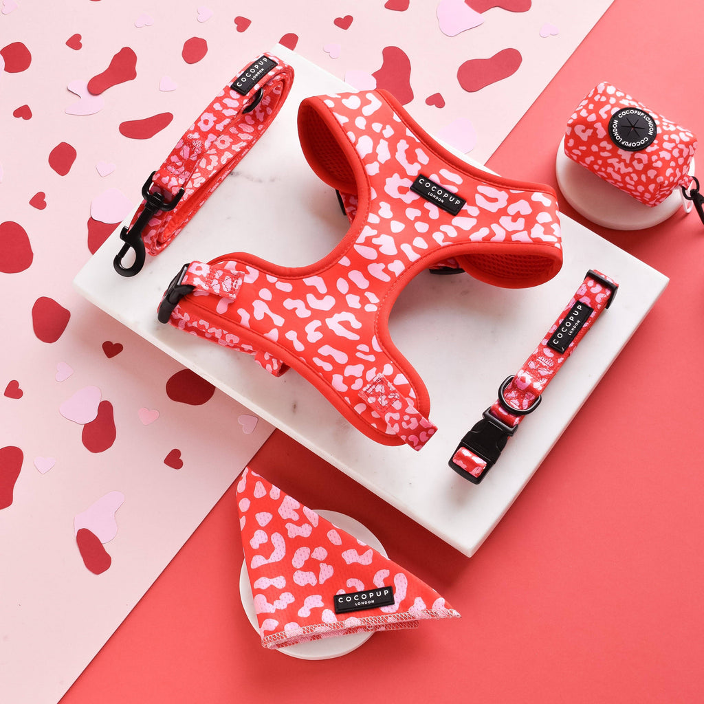 Cocopup Collar - Red & Pink Leopard - The Dog Shop