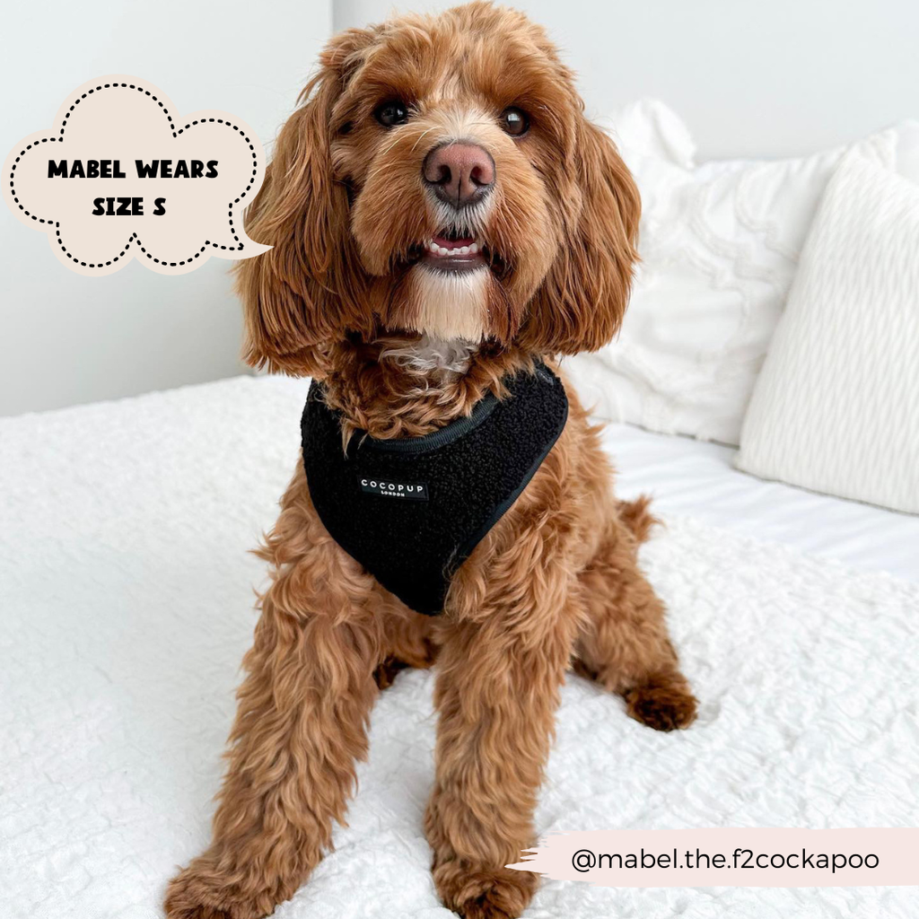 Baloo Teddy Adjustable Neck Harness - The Dog Shop