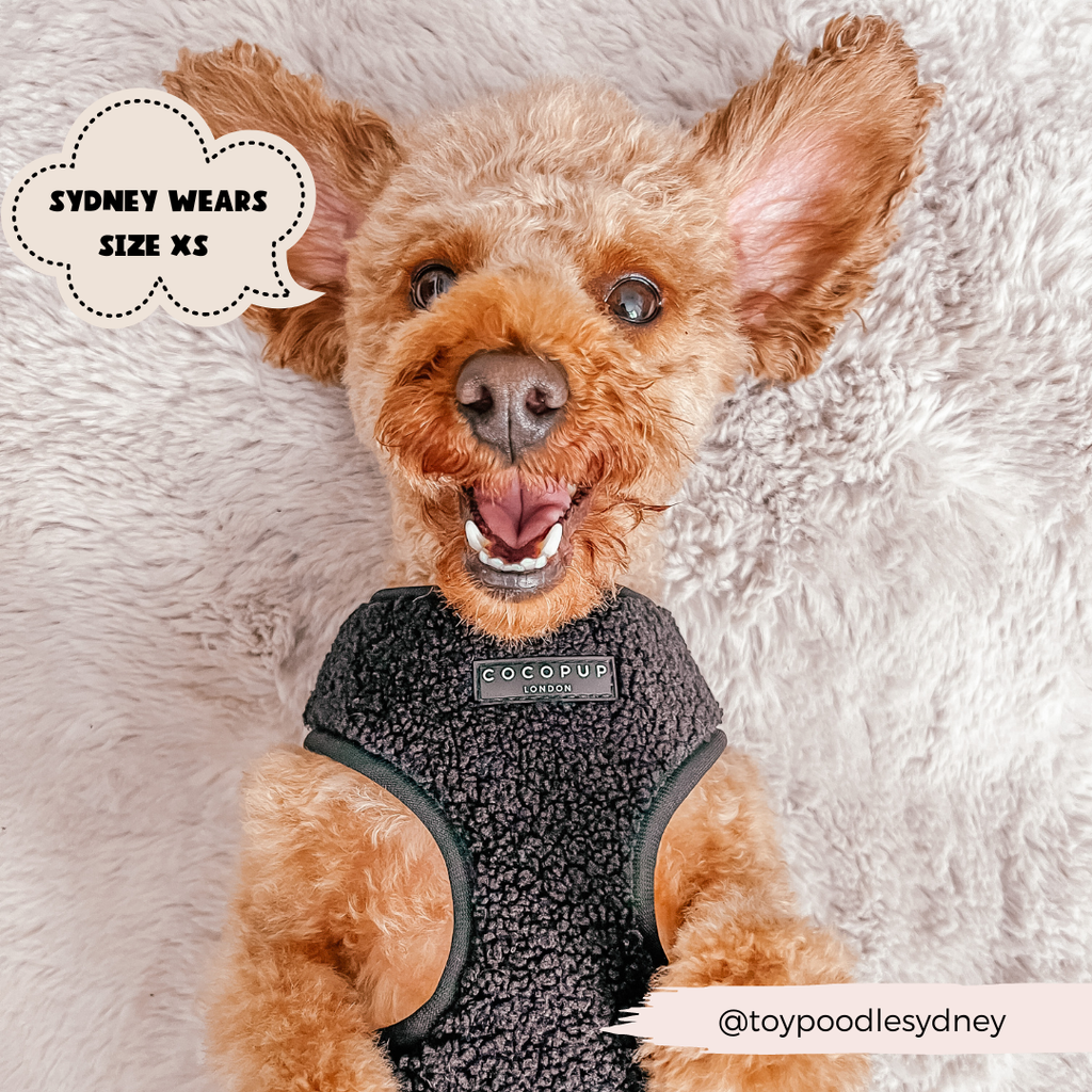 Baloo Teddy Adjustable Neck Harness - The Dog Shop