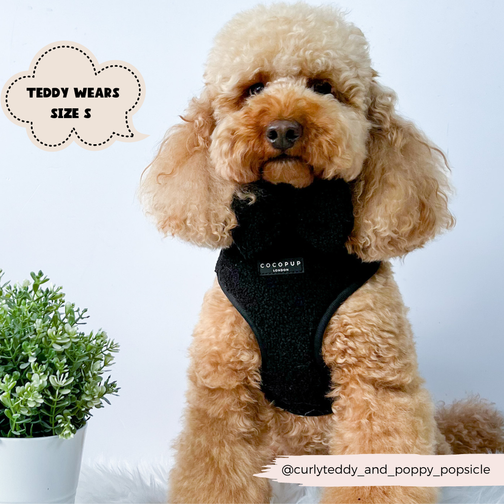 Baloo Teddy Adjustable Neck Harness - The Dog Shop
