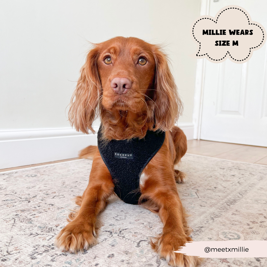 Baloo Teddy Adjustable Neck Harness - The Dog Shop