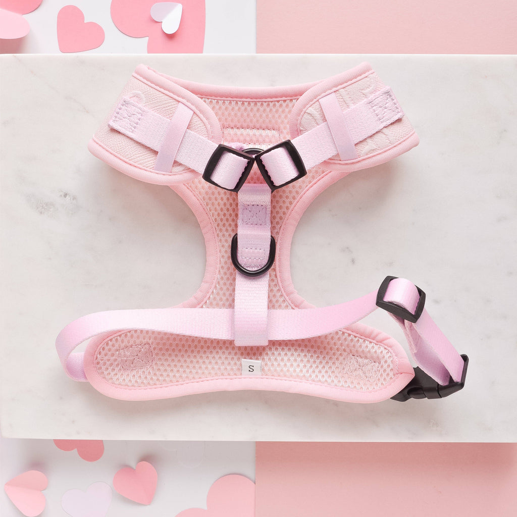 Luxe Adjustable Neck Harness - Baby Pink Heart - The Dog Shop