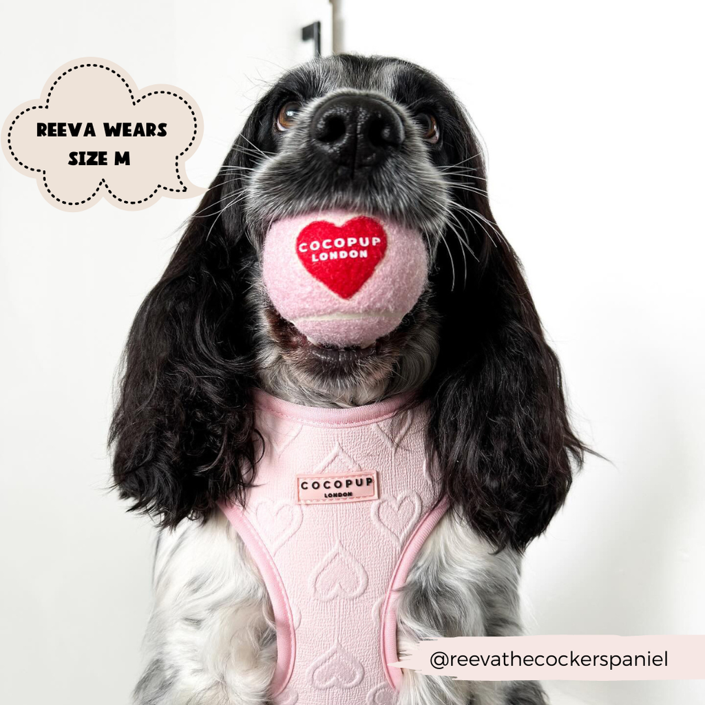 Luxe Adjustable Neck Harness - Baby Pink Heart - The Dog Shop