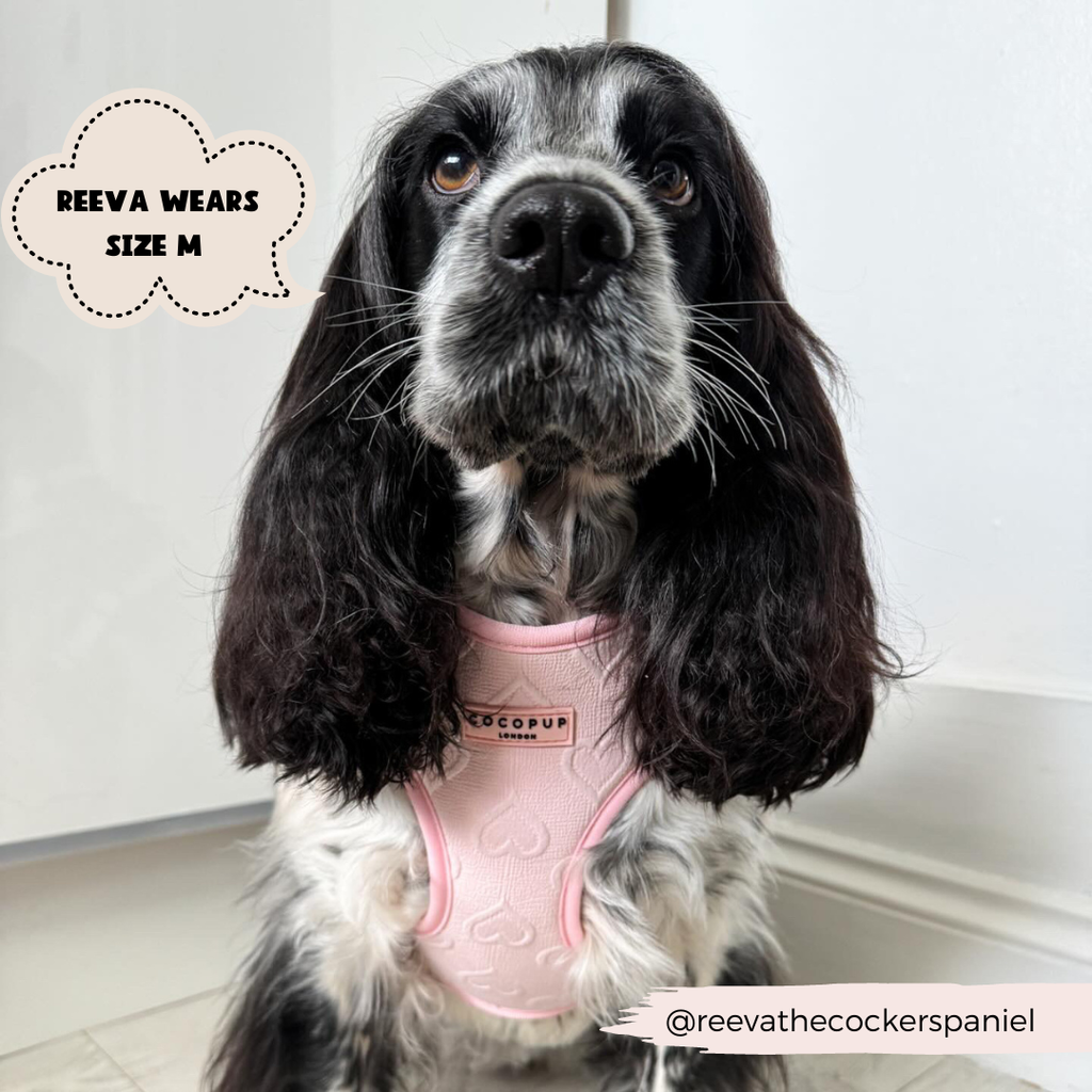 Luxe Adjustable Neck Harness - Baby Pink Heart - The Dog Shop