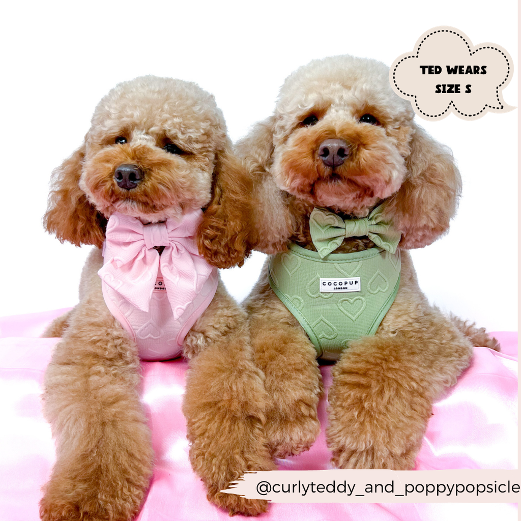 Luxe Adjustable Neck Harness - Baby Pink Heart - The Dog Shop