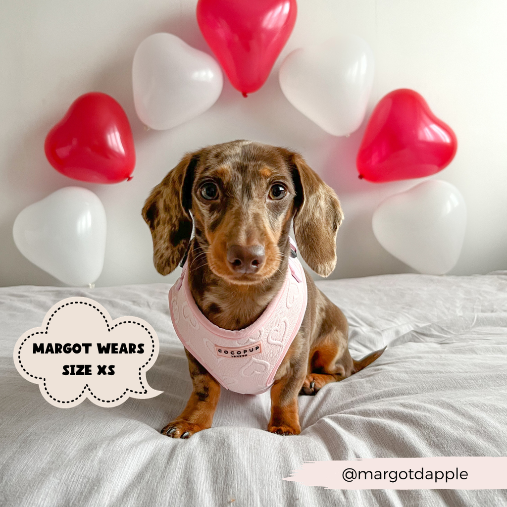 Luxe Adjustable Neck Harness - Baby Pink Heart - The Dog Shop