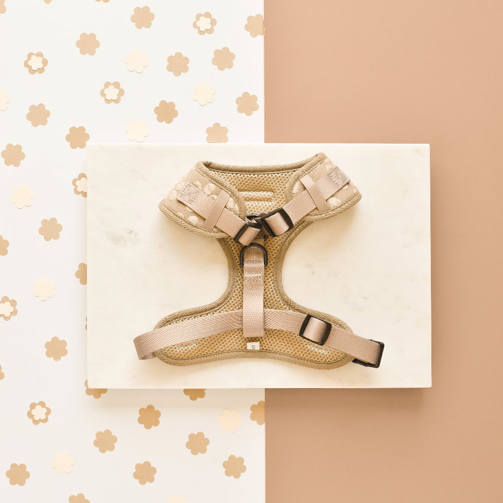 LUXE Adjustable Neck Harness - Mocha Flower - The Dog Shop