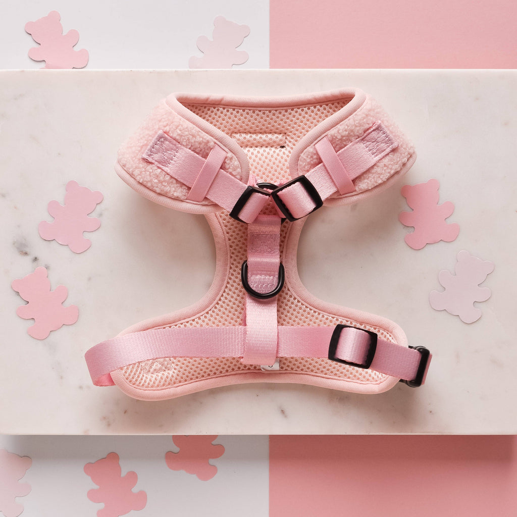 Teddy Adjustable Neck Harness - Love-A-Lot - The Dog Shop