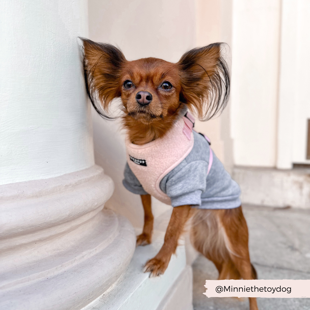 Teddy Adjustable Neck Harness - Love-A-Lot - The Dog Shop