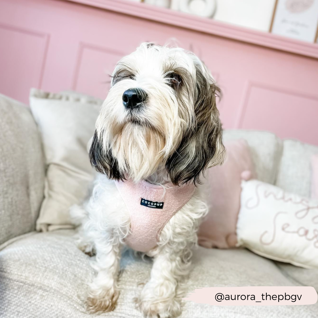 Teddy Adjustable Neck Harness - Love-A-Lot - The Dog Shop