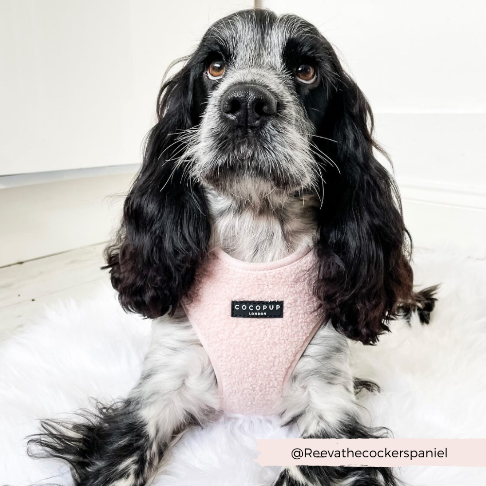 Teddy Adjustable Neck Harness - Love-A-Lot - The Dog Shop