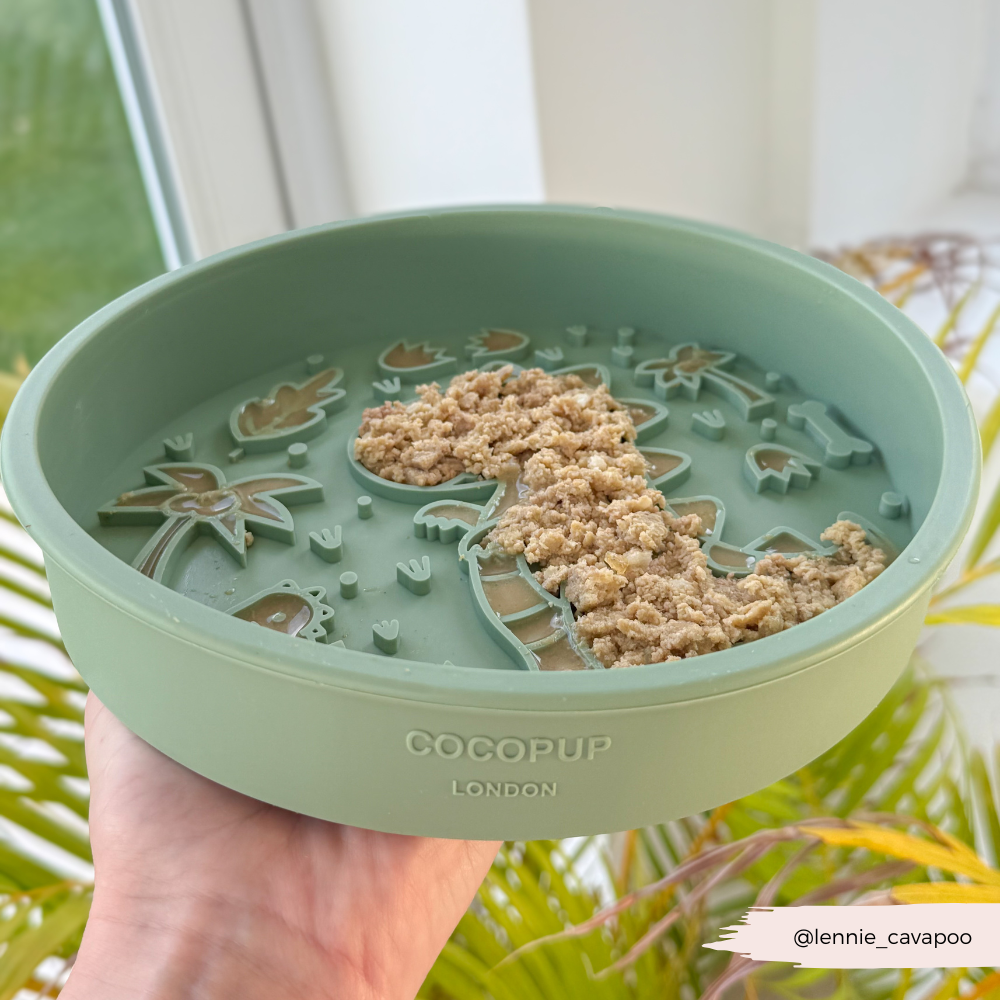 Silicone Slow Feed Dog Bowl - Dinopaws - The Dog Shop