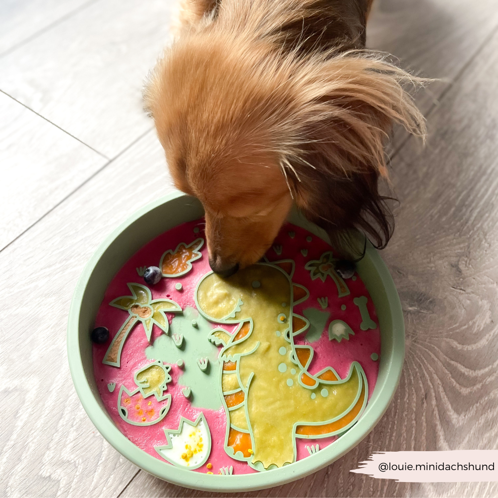 Silicone Slow Feed Dog Bowl - Dinopaws - The Dog Shop