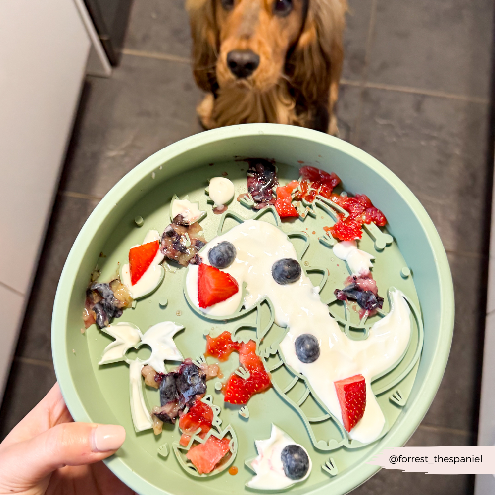 Silicone Slow Feed Dog Bowl - Dinopaws - The Dog Shop