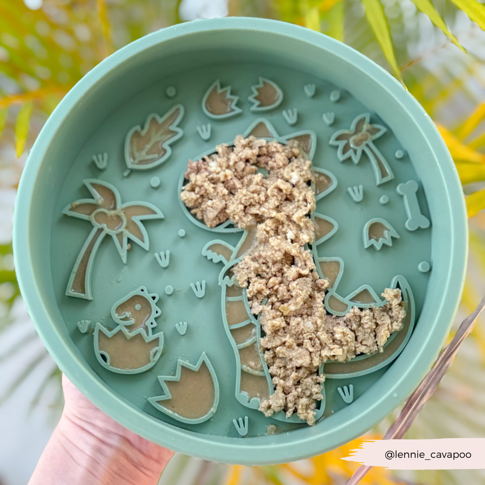 Silicone Slow Feed Dog Bowl - Dinopaws - The Dog Shop