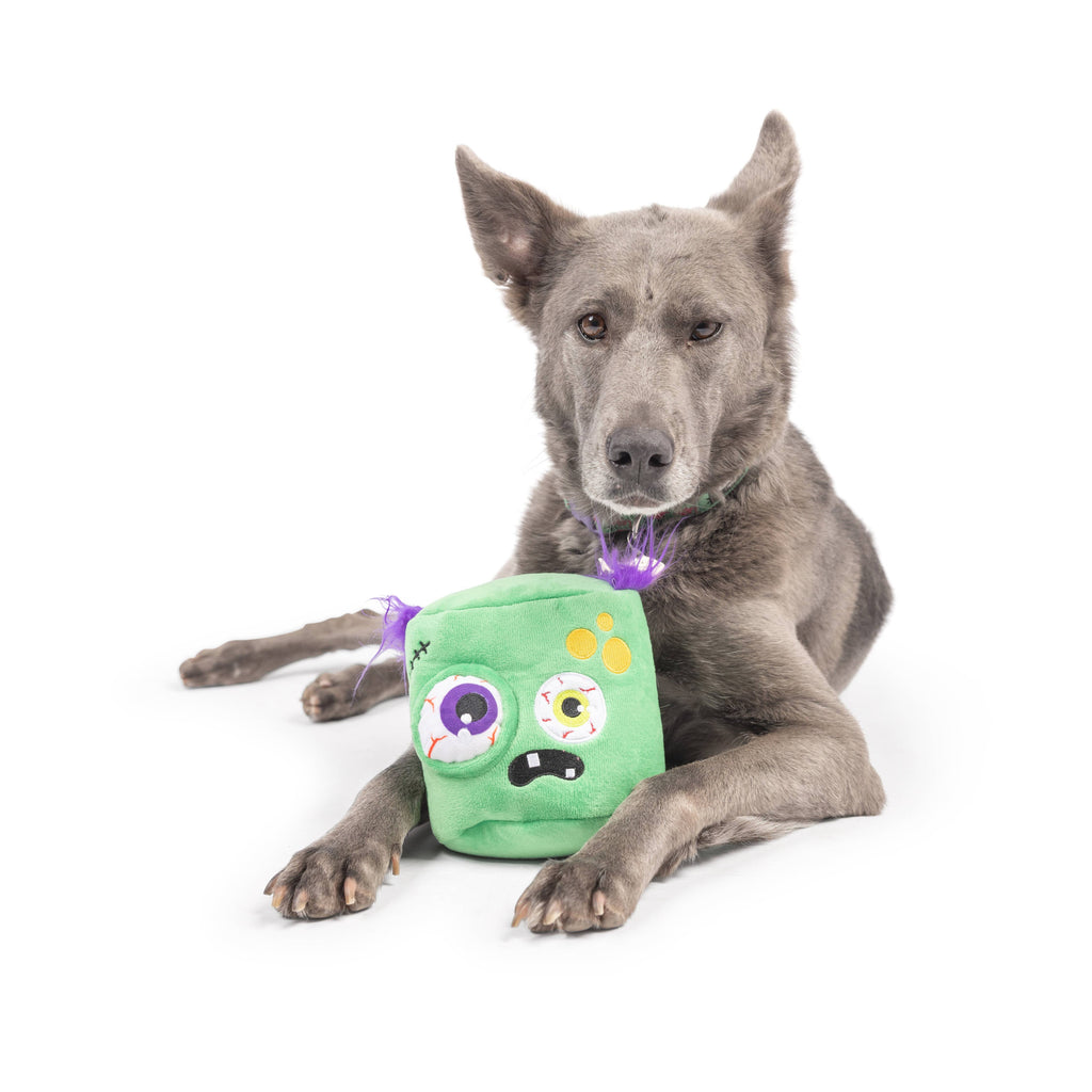 Zombie Pop 'n Fetch Pop-Eye Dog Toy - The Dog Shop