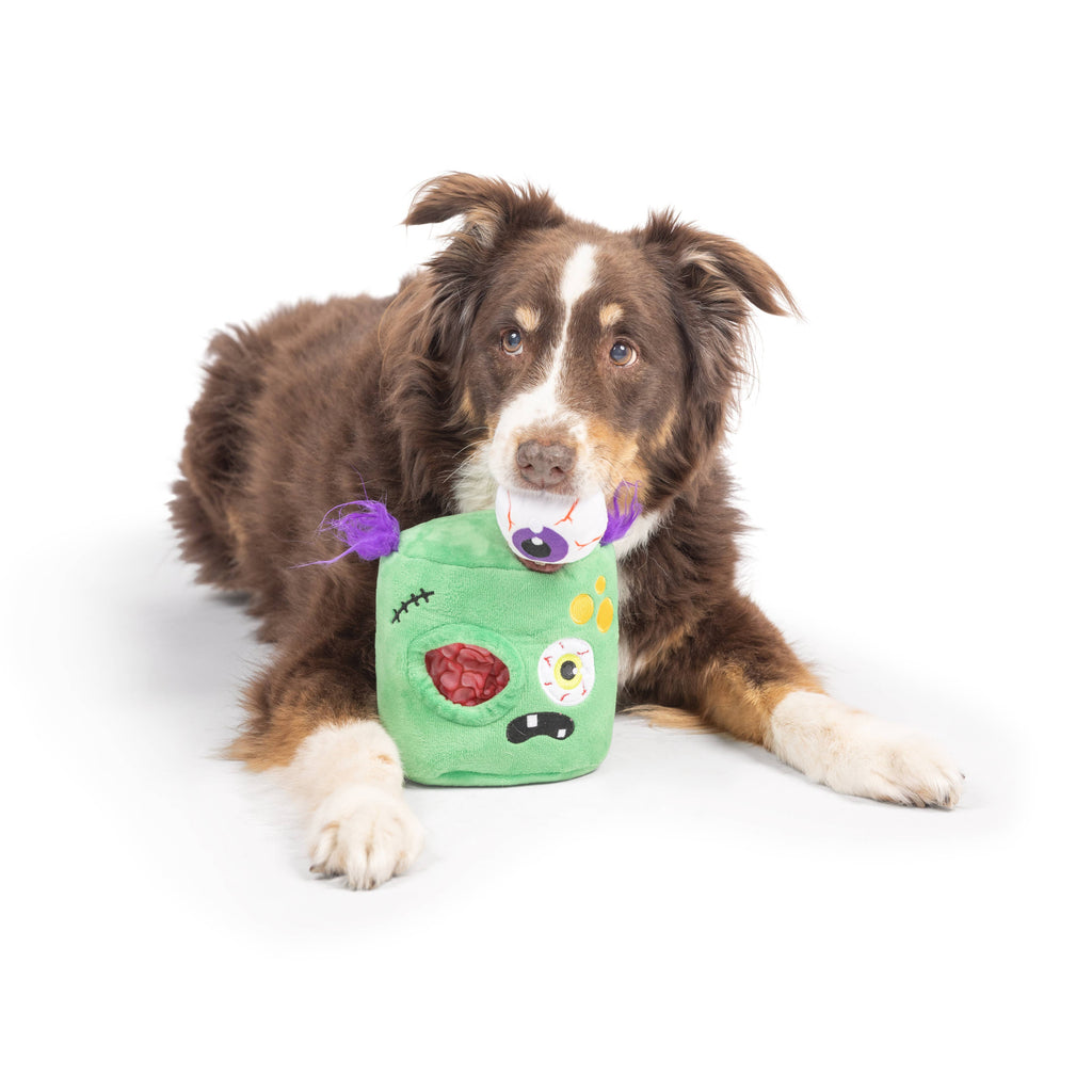 Zombie Pop 'n Fetch Pop-Eye Dog Toy - The Dog Shop