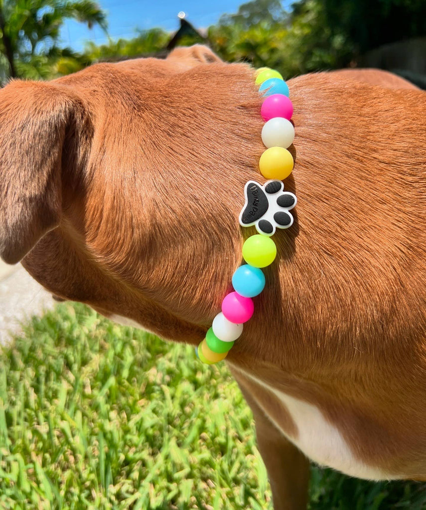 Beaded Dog Collar - Carnival - Glow In The Dark - The Dog Shop