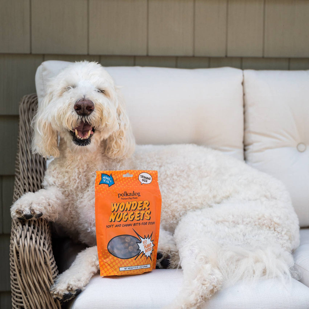 Polkadog Wonder Nuggets - Peanut Butter - The Dog Shop