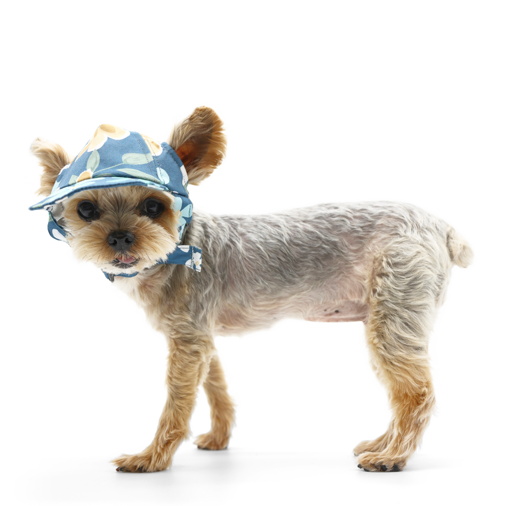 Dog Baseball Hat - Wildflower - The Dog Shop