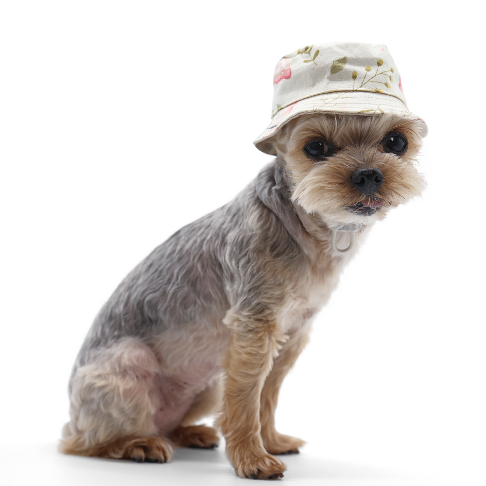 Dog Bucket Hat - Butterfly - The Dog Shop