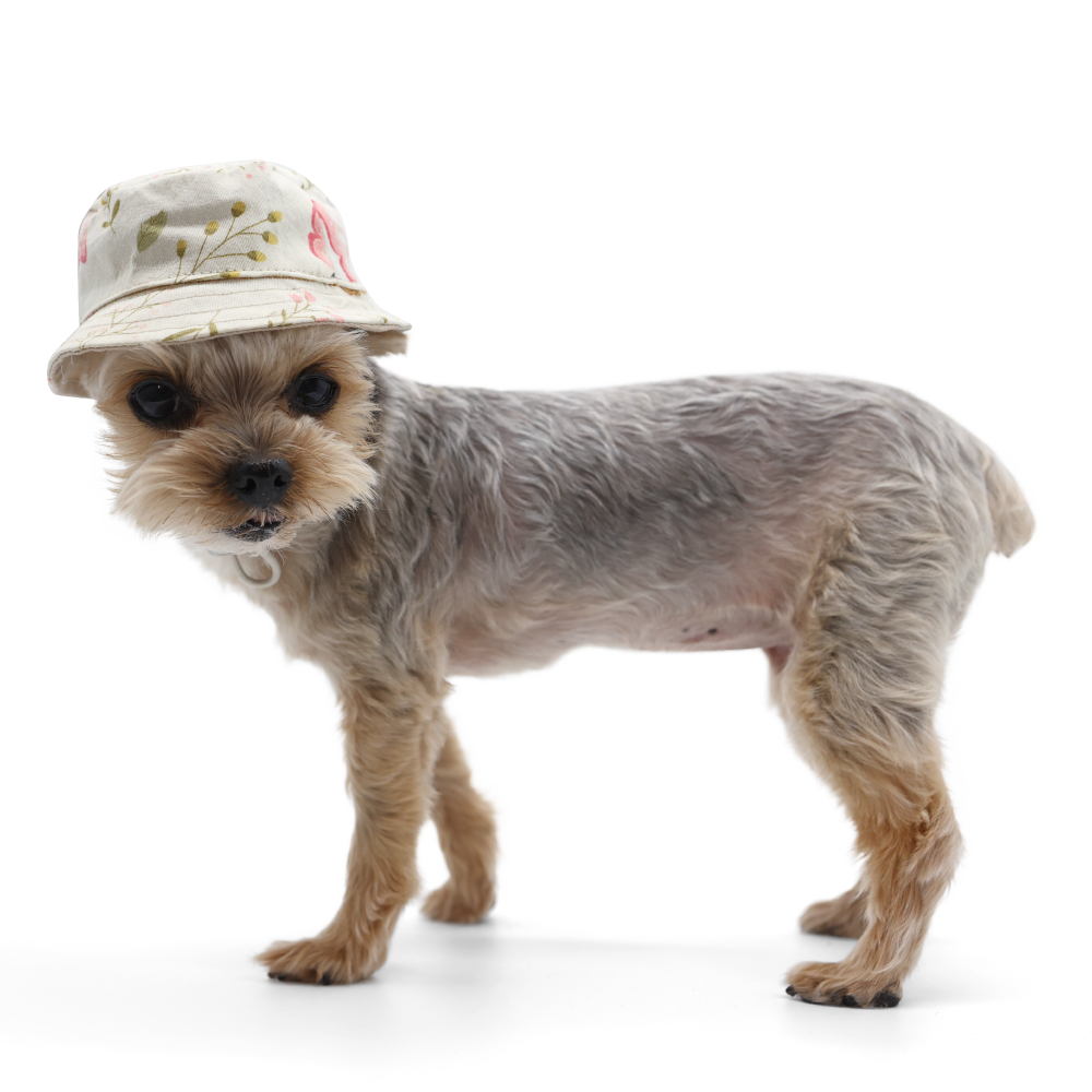 Dog Bucket Hat - Butterfly - The Dog Shop