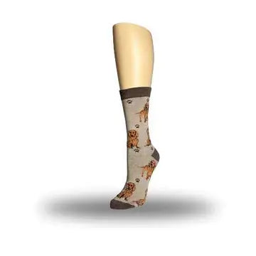 Dachshund Red Socks-Full Body - The Dog Shop