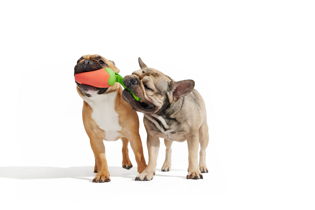 BARK Super Chewer Habanero Pupper Dog Chew Toy - The Dog Shop