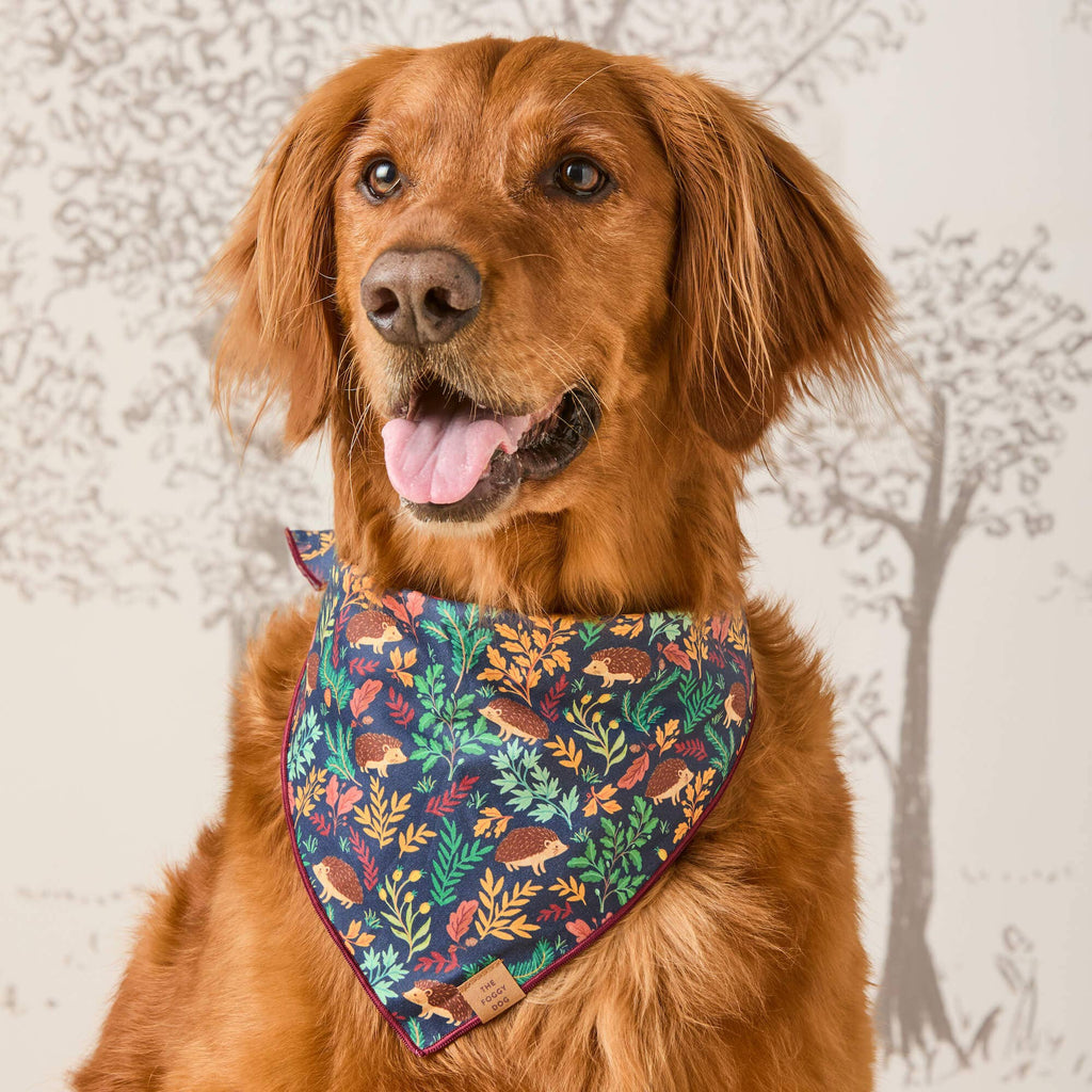 Hedgehog Hollow Dog Bandana: Medium - The Dog Shop