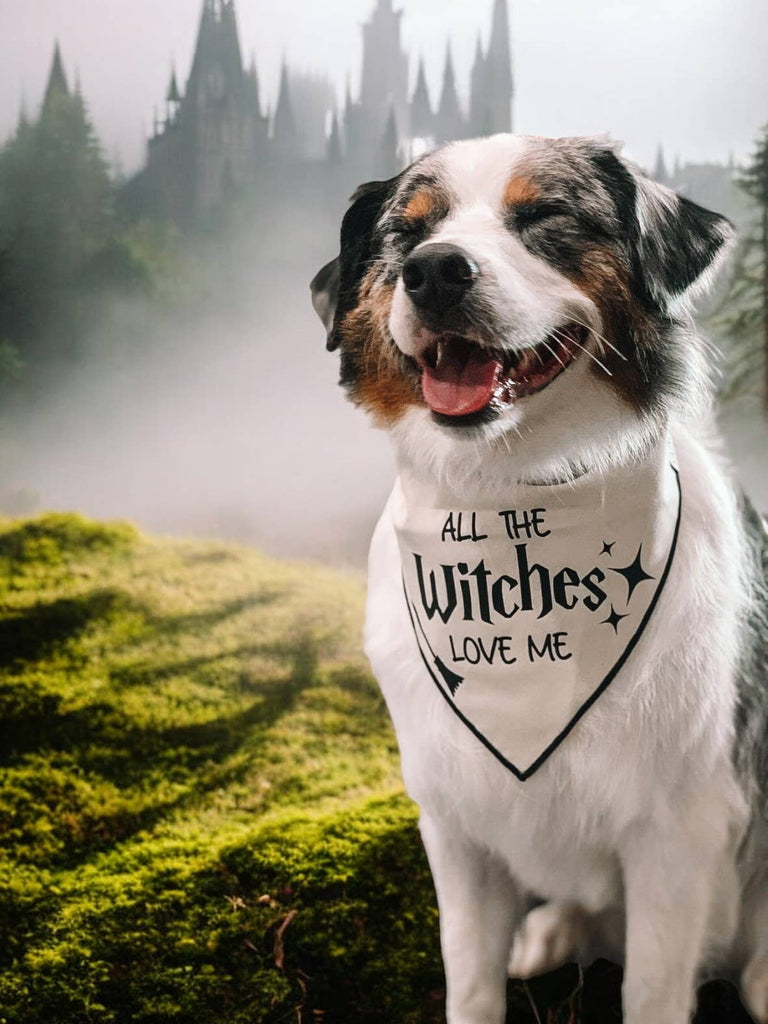 "All the Witches" Halloween Dog Bandana - The Dog Shop