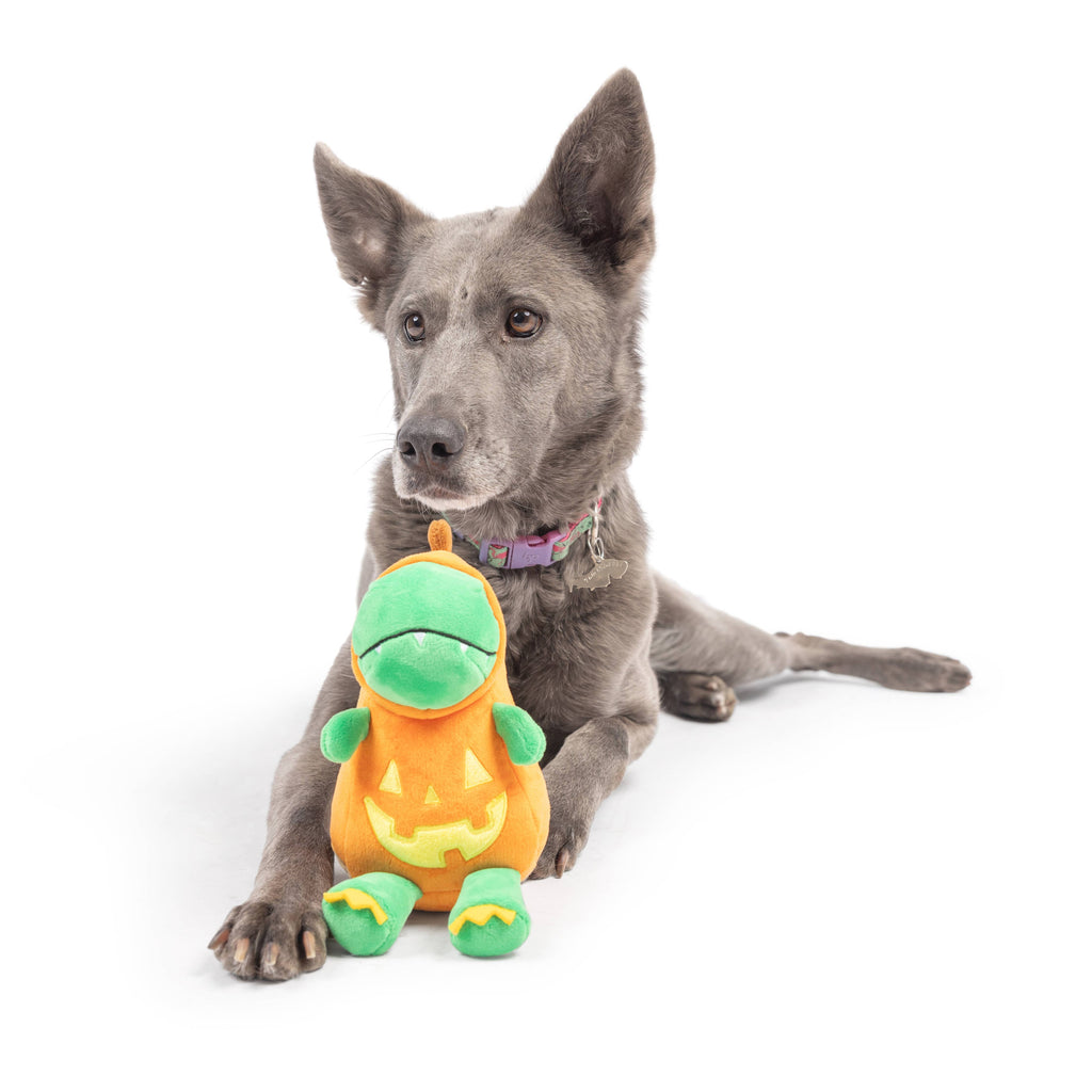 Dino-Lantern Dog Toy - The Dog Shop