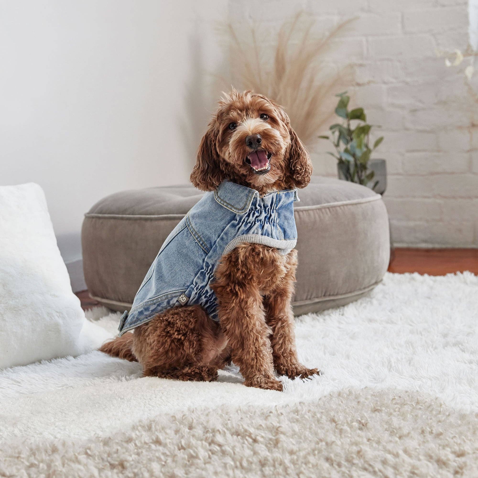 GF Pet Denim Jacket – The Dog Shop
