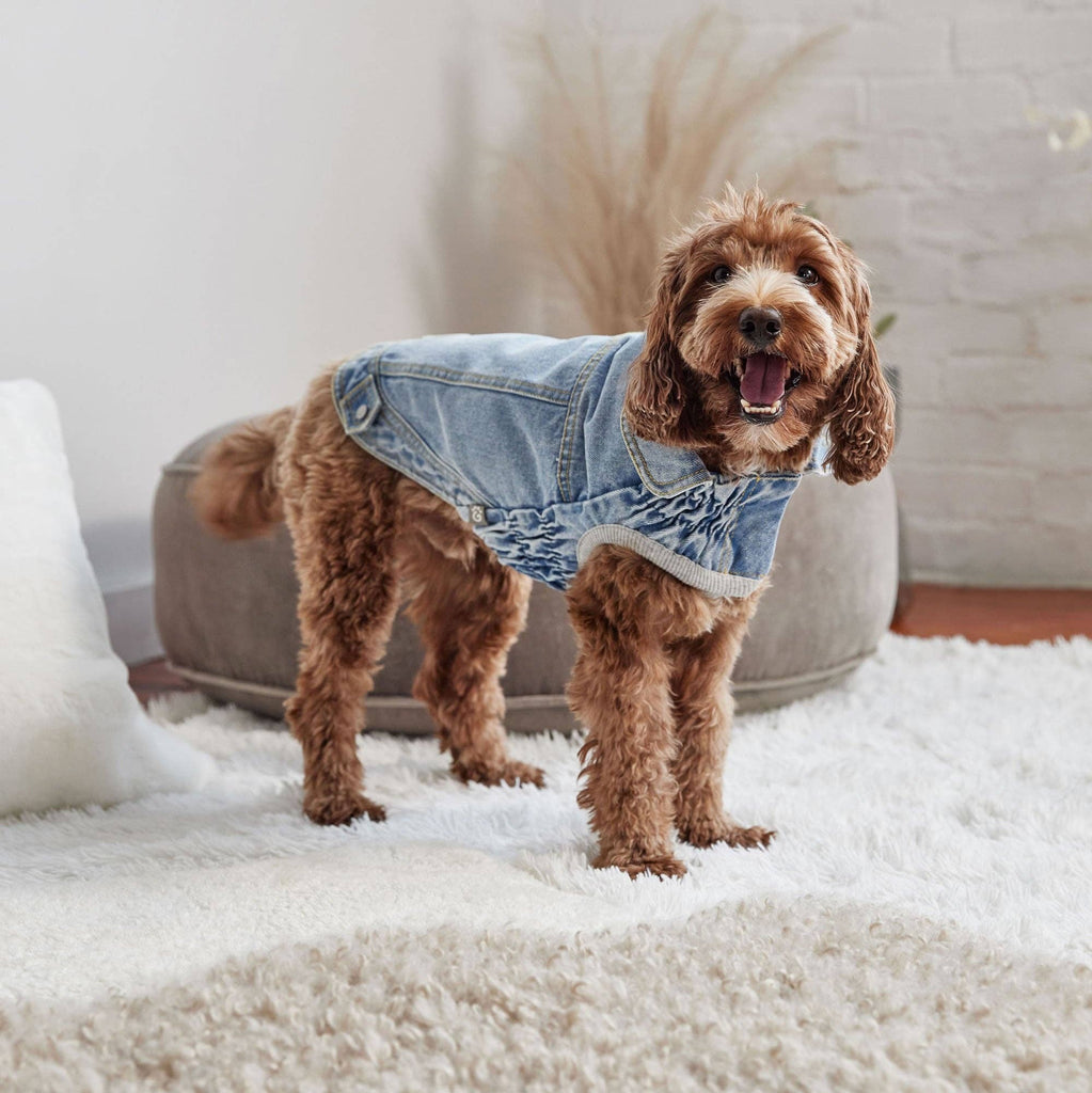 GF Pet Denim Jacket - The Dog Shop
