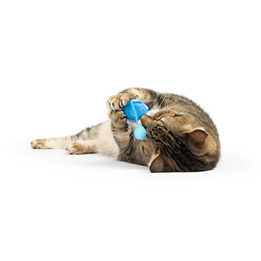 Bluebird Chirpy Toy for Cats - The Dog Shop