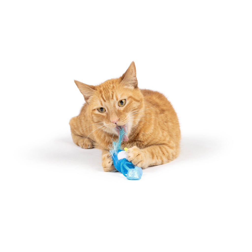 Bluebird Chirpy Toy for Cats - The Dog Shop