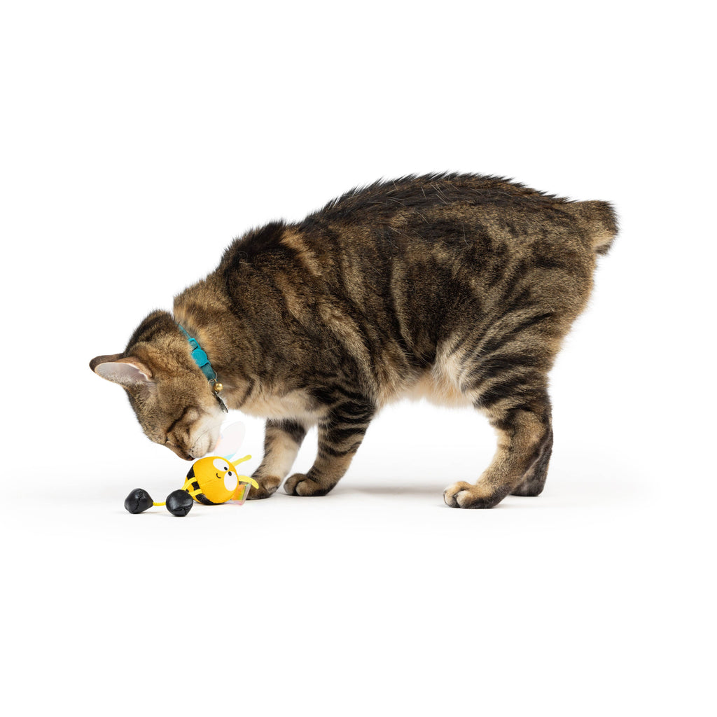 Bumble Bee Chirpy Toy for Cats - The Dog Shop