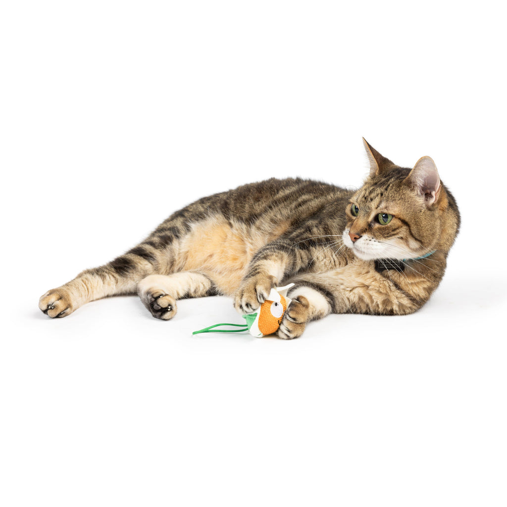 Flower Flinger Toy for Cats - The Dog Shop