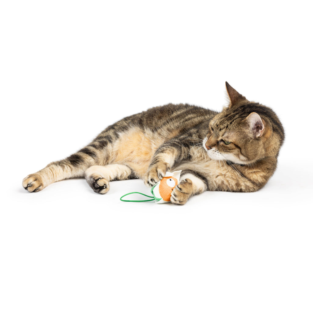 Flower Flinger Toy for Cats - The Dog Shop